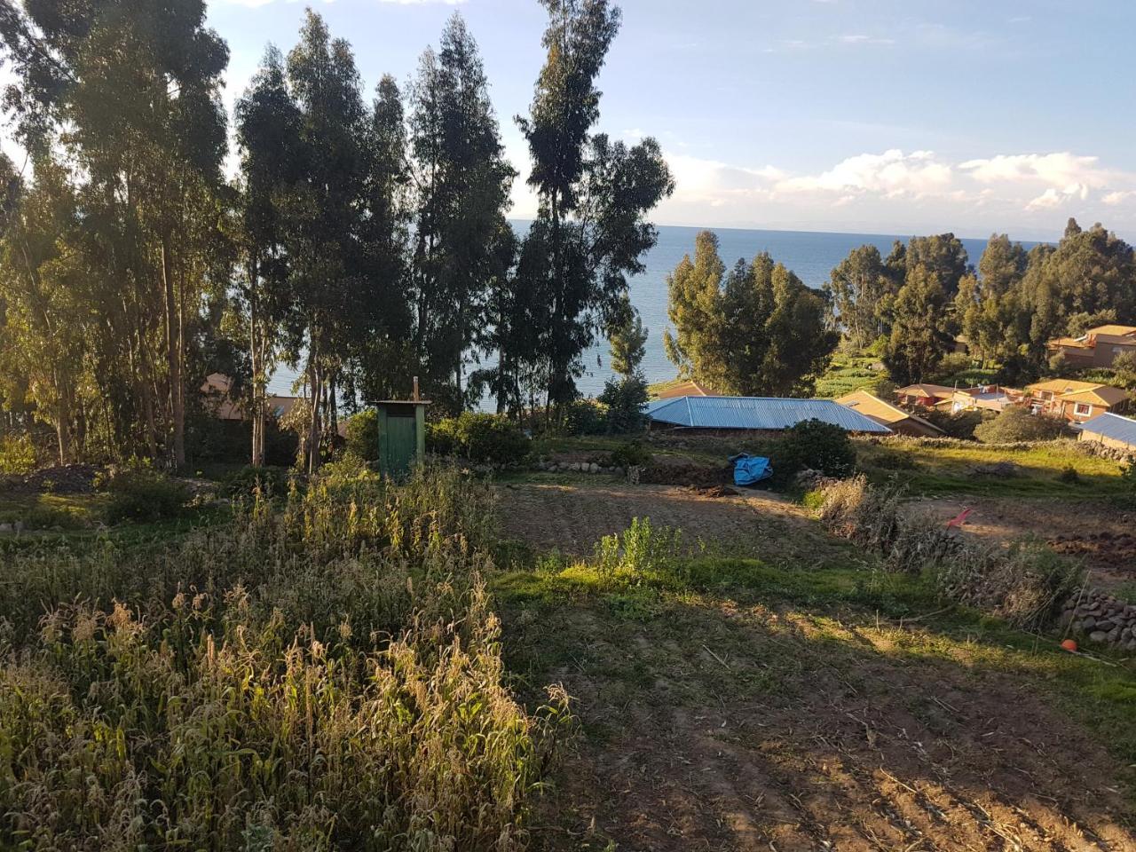 Musqoy Wasi De Gonzalo Ocosuyo Exterior photo